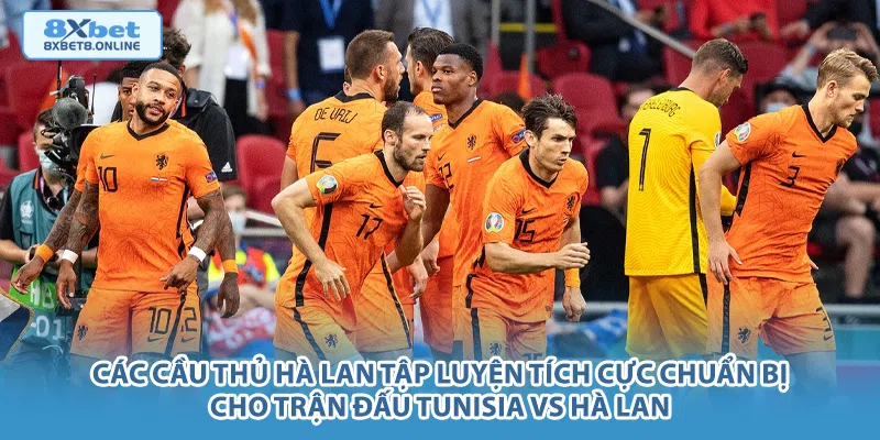 Các cầu thủ Hà Lan tập luyện tích cực chuẩn bị cho trận đấu Tunisia vs Hà Lan.